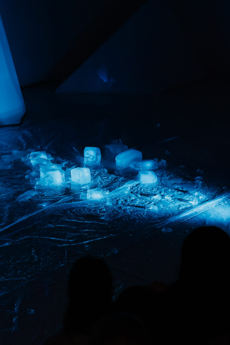 Cred_Sérgio-Monteiro_Melt-in-sight_Fisga-08329